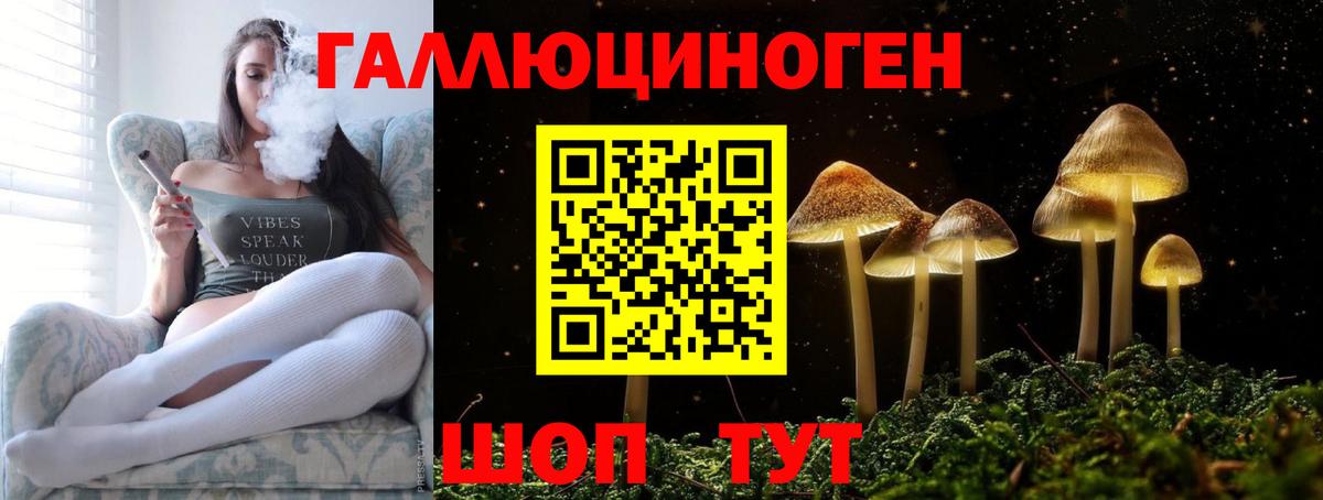 Валуйки  Галлюциногенные грибы Psilocybe  Вход с VPN  Псилоцибиновые грибы GOLDEN TEACHER 